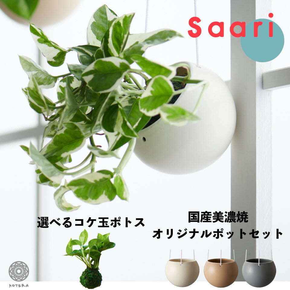 ポトス 【全品10%off★5/9 20:00～】観葉植物 インテリア ポトス エンジョイ グローバルグリーン 浅岡園芸 吊り下げ 鉢 ハンギング 苔玉 ミニ コケ玉 こけだま セット SAARI 北欧 開店祝 新築祝 引っ越し祝 ステータス コテラ