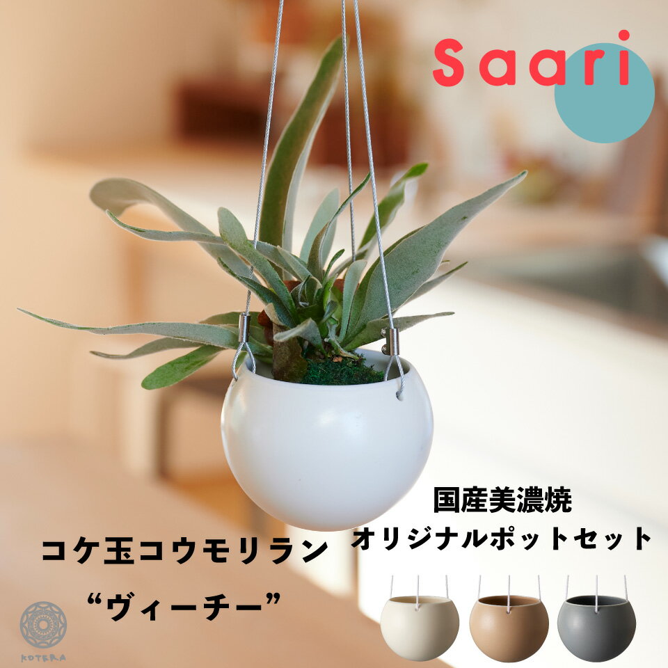 観葉植物 おしゃれ 吊り下げ 鉢 小さい 卓上 ハンギング ビカクシダ コウモリラン ヴィーチー 苔玉 ミニ コケ玉 こけだま セット カバー SAARI 棚 北欧 インテリア 開店祝 新築祝 引っ越し祝 コテラ
