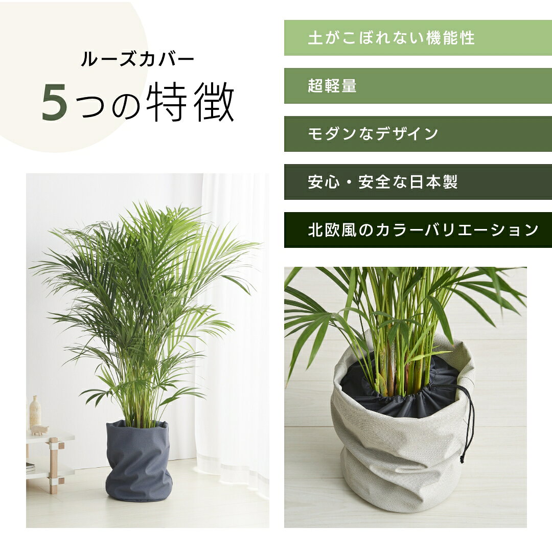 �롼�����С� ȭ ���С� ���տ�ʪ ���������ɻ� �緿 ������� 5�� 6�� 8�� 10�� 12�� �̲� ����쥶�� ��Ĺ ������ �Х����å� �饿�� ���ƥ� ���Ƥ�