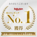 kotera:10000369のサンプル画像2