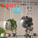 【全品5 off★4/25 23:59まで】観葉植物 インテリア 多肉植物 小さい 卓上 吊り下げ 鉢 おしゃれ お祝い 棚 グリーンネックレス 【Saari】2点セット ハンギングプランター ミニ セット 土 小さい 卓上 北欧 開店祝 新築祝 引っ越し祝 コテラ