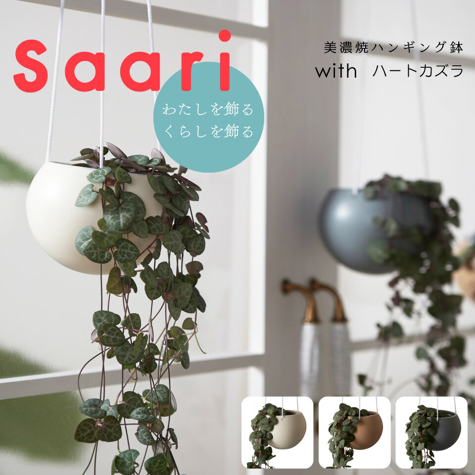 【全品10%off★10/20限定】観葉植物 インテリア 多肉植物 吊るす 小さい 卓上 吊り下げ 鉢 おしゃれ お祝い 【Saari】ハートカズラ ハンギングプランター ミニ セット 土 小さい 卓上 北欧 開店祝 新築祝 引っ越し祝 多肉植物 壁掛け ミニ コテラのサムネイル