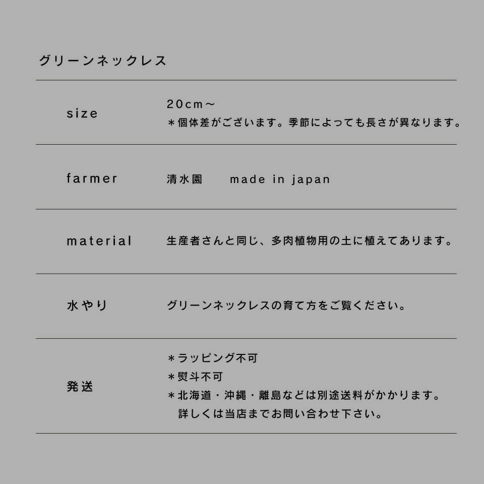 楽天市場 全品10 オフ 9 4 00 観葉植物 小さい 吊り下げ 鉢 おしゃれ 棚 グリーンネックレス Saari 2点セット ハンギングプランター ミニ セット 土 小さい 北欧 インテリア 多肉植物 開店祝 新築祝 引っ越し祝 コテラ Koteraグリーンとインテリアのお店