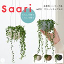 観葉植物 インテリア 多肉植物 吊るす 小さい 卓上 吊り下げ 鉢 おしゃれ お祝い 【Saari】グリーンネックレス ハンギングプランター ミニ セット 土 小さい 卓上 北欧 開店祝 新築祝 引っ越し祝 壁掛け ミニ コテラ