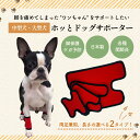 [3/27まで!POINT10倍] [期間限定30%OFF] 犬 足 サポーター 両足兼用 日本製 プロテクター 中型犬 大型犬 Mサイズ Lサイズ 足保護 ひざ 関節サポーター 膝サポーター 関節保護 ナックリング対策 ドッグサポーター