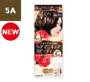 サロンドプロ ヘアマニキュア・スピーディ5A アッシュブラウン