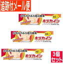 【3個セット】sa【第2類医薬品】キズカイン 15g 丹平製薬 【メール便送料無料/3個セット】