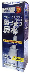 【第2類医薬品】モーテンAG点鼻薬 30ml PI