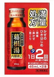 【第2類医薬品】阪本漢法の葛根湯内服液2 45mL×2A