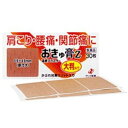 【メール便送料無料】【第3類医薬品】おきゅ膏Z 大判タイプ 30枚 ゼリア新薬