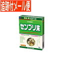 【メール便送料無料】【第3類医薬品】日局 センブリ末 6g 山本漢方