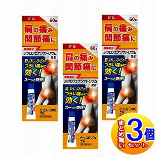 【3個セット】【第2類医薬品】ビーエスバンDXゲル 60g 大石膏盛堂【小型宅配便】