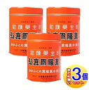 【3個セット】【第3類医薬品】弘真胃腸薬 缶入り 255g【胃痛・胃酸過多に】【小型宅配便】