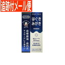 【メール便送料無料】【第3類医薬品】三宝はぐきみがき 40g