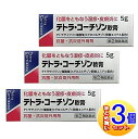 【3個セット】【第(2)類医薬品】テトラコーチゾン軟膏 5g【小型宅配便】