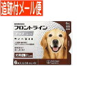 【メール便送料無料】【動物用医薬品】フロントラインプラスドッグ 犬用 L 20～40kg未満 6本入