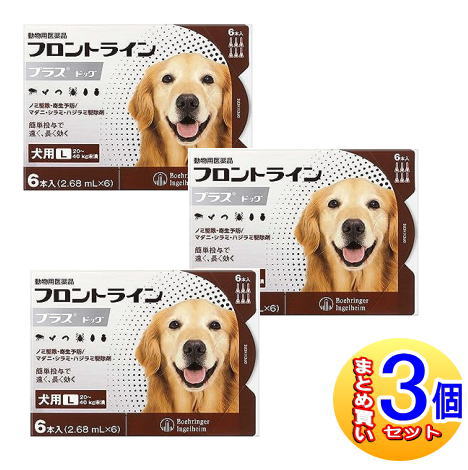 【3個セット】【動物用医薬品】フロントラインプラスドッグ 犬用 L 20～40kg未満 6本入 【小型宅配便】