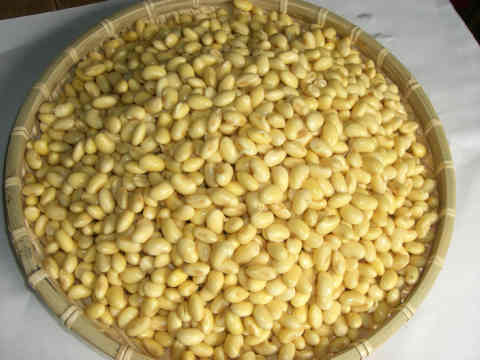 そのまま大豆4個セット イソフラボン 三重県産 蒸し大豆 水煮でない まるごと大豆 無添加 ドライパック レトルト 豆サラダ カリカリ豆 スムージー 送料無料 1000円ぽっきり