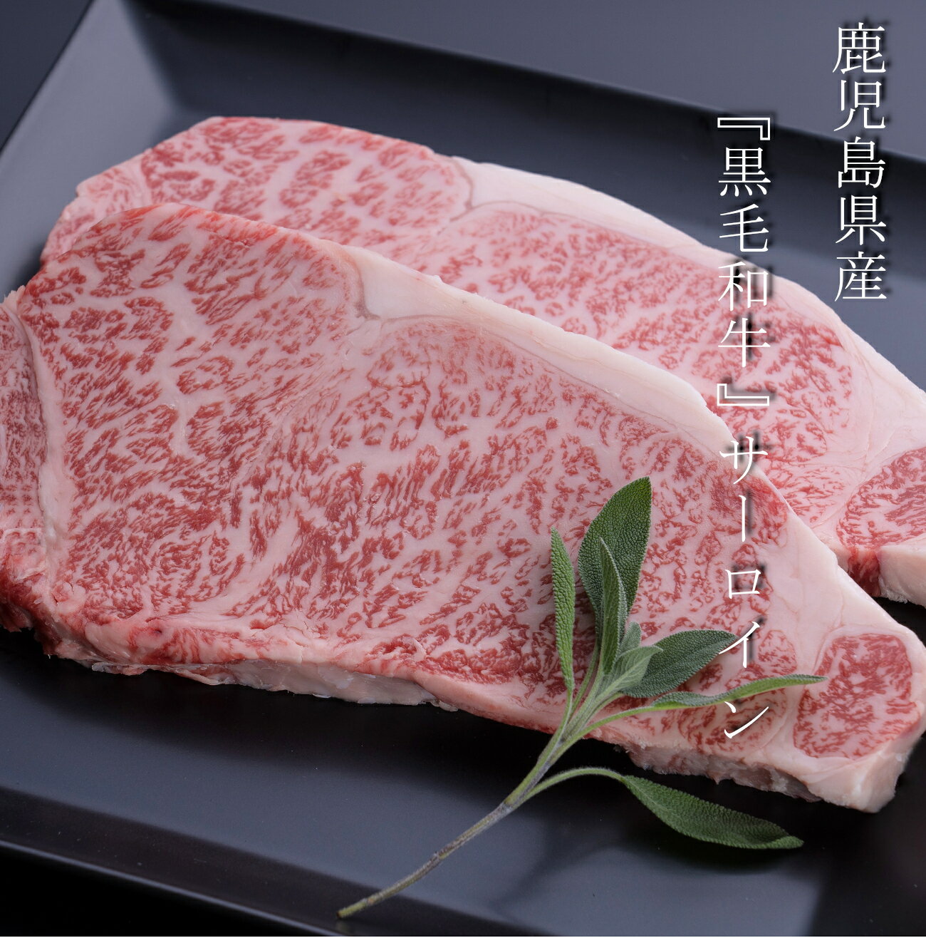 縩µA5󥯥󥹥ơ250g2