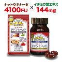 ナットウキナーゼ イチョウ葉エキス サプリメント EPA DHA 配合サプリメント 《シャンとヘッド 90粒 1-3月分》 ナットウキナーゼを贅沢に配合 サラサラのため各種栄養成分配合 トマトリコピン ホスファチジルセリン ビタミンC 栄養機能食品 ビタミンB1 ビタミンB6 ビタミンE