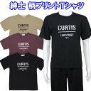 柄 プリント Tシャツ 半袖 綿混 丸首 メンズ 紳士 春 夏 秋 ブラック/パープル/ベージュ M/L 名前記入 シニア 父の日 敬老の日 クリックポスト