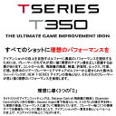 【GW前　当店独自イベント　30日まで 必見！ポイントUP中】（カスタムモデル）2023 タイトリスト Titleist T350 アイアンセット6本組(#6-#9,Pw,W48)～9本組(#4-W53)(日本仕様)Dynamic Gold EX TOUR ISSUEシャフト(IRON)　送料無料 2