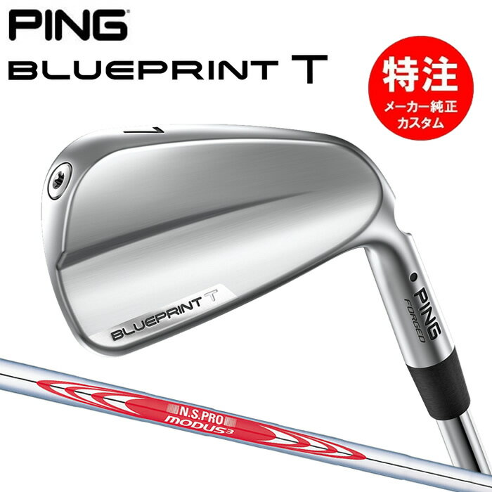 2024  ǿǥۥ४ ԥ ֥롼ץ T  PING BLUEPRINT T IRON(68ܥ...