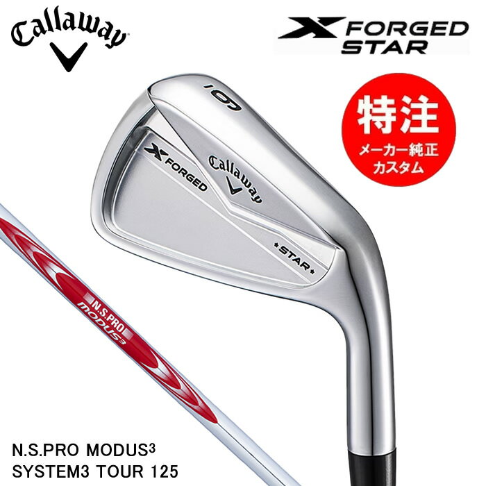 2024  ǿ४ۥ X FORGED STAR (67ܥå)ܻ͡N.S.PRO MO...