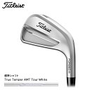 ご予約受付中!! タイトリスト T100 アイアン(日本仕様) 6本セット(#5〜#9,PW)標準シャフト AMT Tour White Titleist Ir...