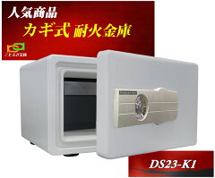 https://thumbnail.image.rakuten.co.jp/@0_mall/kotobukikinko/cabinet/03351314/03351316/key/ds23-k1-c.jpg