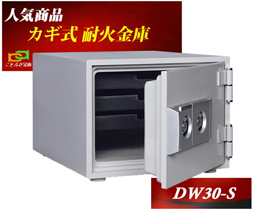 DW30-S ダイヤセーフ 金庫 家庭用 カ