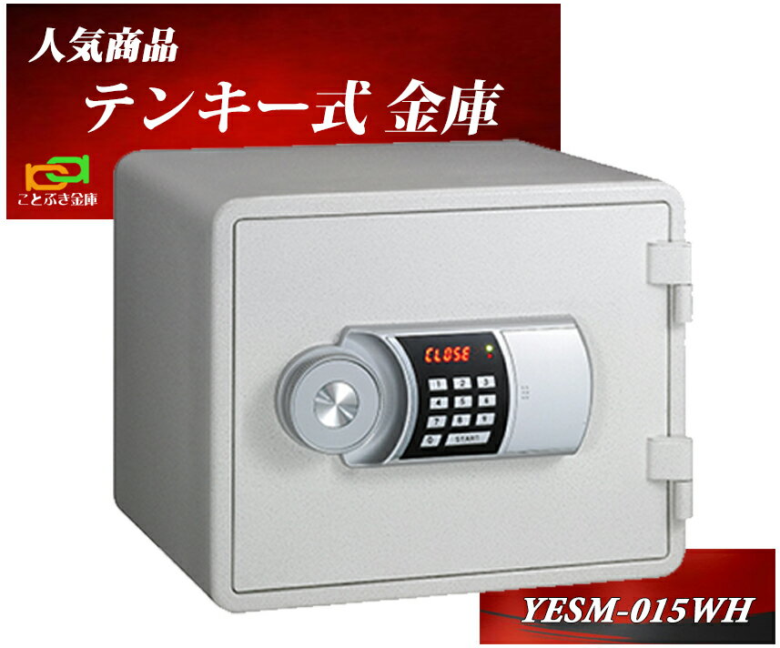 金庫 小型 テンキー式 耐火金庫 YESM-