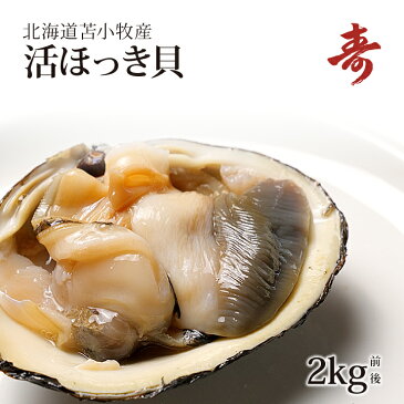 ギフト 活ほっき貝 ホッキ 北寄 超特大 お刺身 2kg 殻付 冷蔵 北海道産 オホーツク海 内祝い お返し