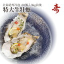 ギフト 牡蠣 殻付き 生牡蠣 カキ 北海道 厚岸 マルえもん 希少な特大3Lサイズ(1個約150g) 20個生食可 内祝い お返し