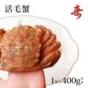 уKj Jj Mtg 400g O kCY ① ъI т j Ԃ 䥂őI