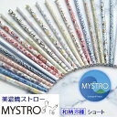 MYSTRO ショート 和柄8種 携帯ストロー ピロー型パッケージ 1本入 ブラシ1本付き 和柄 ギフト 贈り物 マイストロ ショート マイストロー 美濃焼 美濃焼ストロー 国産 SDGs サスティナブル 脱プラスチック 陶磁器 ストロー カフェ 喫茶店 美容院