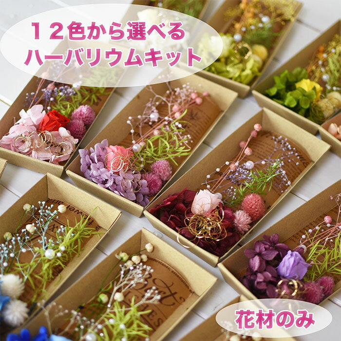 ハーバリウム キットの花材のみを販売しています。 200mlボトルまたは100mlボトルの花材です。 ★花材のみ（ボトル・オイルはついていません） ボトル・オイルは別途販売しています。 ★使用花材 ・バラ（ビビアン）・アジサイ・かすみ草・リンフラワー ・千日紅・アスパラスプリンゲリー・ラメッタゴールド・パール ★定形外郵便でのお届けになりますので日時指定はできません。 ハーバリウム healing／ キット あじさい　オイル　花材　手作り　オイル ブライダル ウエディング ヘッドアクセ ギフト お返し プレゼント お礼 女性 人気 母の日 プリザーブドフラワー ドライフラワー ハーハーバリウム キット セット 制作 キット セット お試し トライアルセット