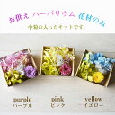 お供え 仏花 ハーバリウム 小菊 花材のみ あじさい かすみ草 プリザーブドフラワー「小菊花材のみ100ml」hk097