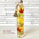 【ハーバリウム もみじ あじさい】ハーバリウム高さ21.5cm healing hz009