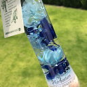 ハーバリウム マリンブルー イエロー ピンク 夏 海 貝殻 ハーバリウム healing インテリア 小 hz047