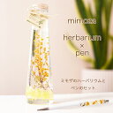 ミモザ 母の日 ハーバリウム +ボールペン セット プリザーブドフラワー ドライフラワー 花 送料無料