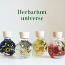 ハーバリウム 水引き universe