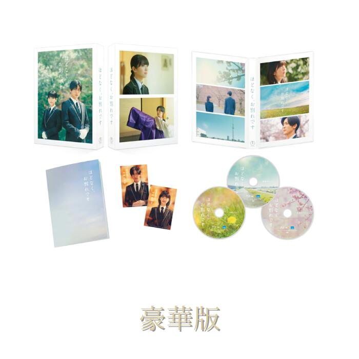 楽天市場】snowman 目黒 蓮（CD・DVD）の通販