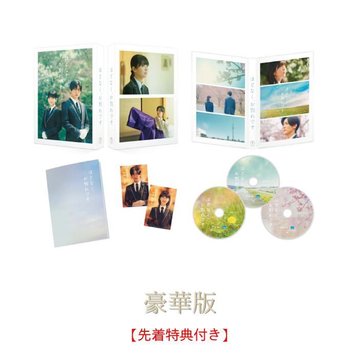 楽天市場】snowman 目黒 蓮（CD・DVD）の通販