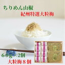 ちりめん山椒 60g×2個大粒梅8個 京都 無添加 ご飯のお供 ちりめん 山椒 佃煮 紀州特選梅 南高梅 ふりかけ お茶漬け ギフト 内祝