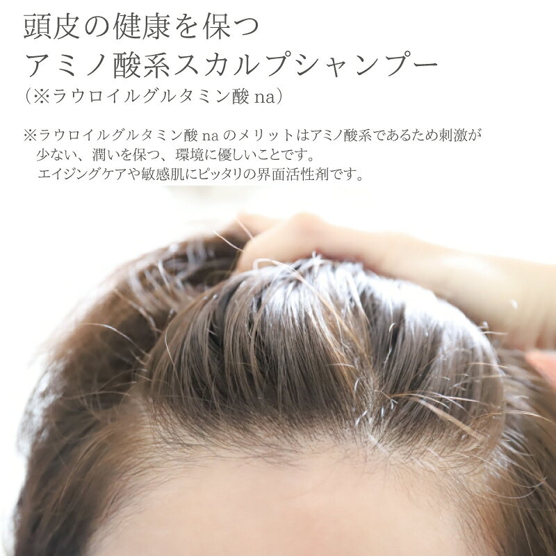 Dエクストラ ガッスールシャンプー 200g アルガンオイル配合 優しい香り オーガニック ガスールクレイ クレイシャンプー 頭皮ケア 毛穴の汚れ落し 毛根から綺麗に ノンシリコン　ラベンダーの香り 天然香油 天然保湿成分 kotokara-10000108 コトカラ 楽天市場店 サンプル画像3