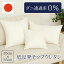 ȿȯۥ̡ɥå MEMORY FORM CUSHION ȿȯ쥿   ä å 35x35cm ̵