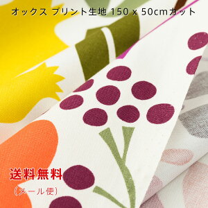 オックス生地 bouquet レッド 150cm幅x50cm お試し 大柄 プリント ワイド幅 コットン 綿 女の子 くすみカラー 切り売り 送料無料