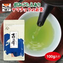 新茶 森の輝 100g 茶葉 リーフ 煎茶 深蒸し茶 ギフト まかない茶 のし 包装 老舗 日本茶 香典返し お茶 水出し茶 日本茶 静岡県産 森町産