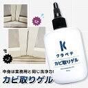 カビ取りクリーナー 100ml カビ取り剤 カビ取りジェル カビ お風呂 壁 カビ取り ジェル 業務用 洗面所